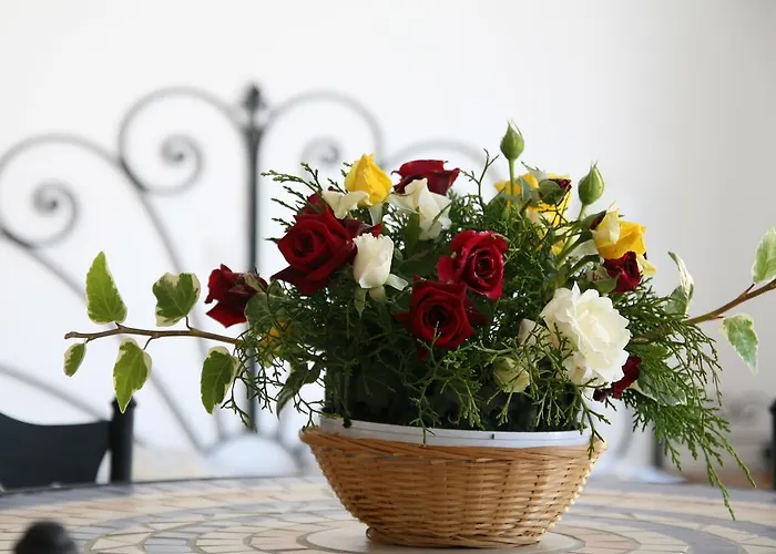 Apartmán Latchi Studio *